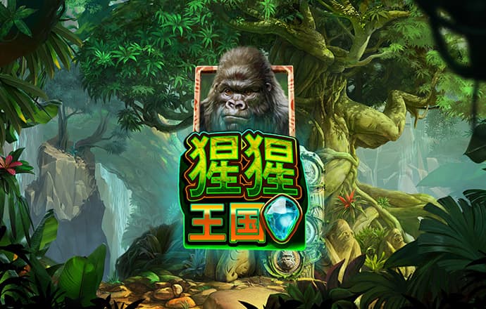鸿博体育